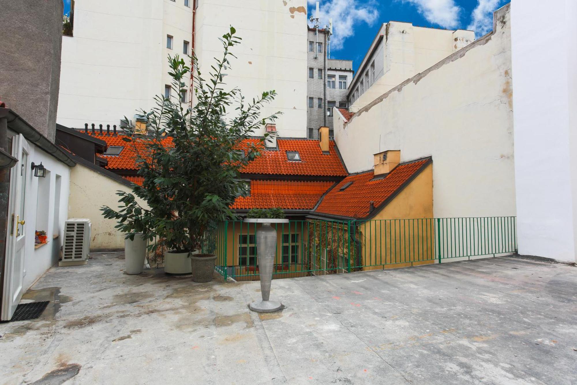 Large-elegant-central-terrace Apartment